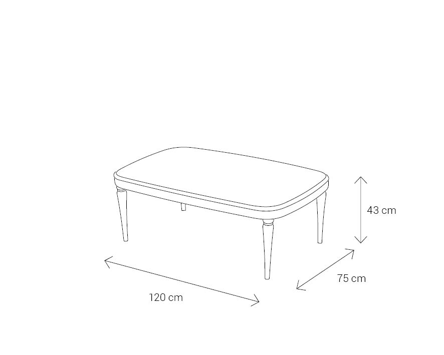 Coffee-Table-Map-014